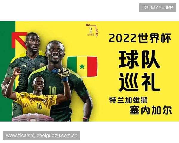 世界杯塞内加尔锋线核心与伊拉克锋线核心对比：战术布局与进攻效率分析